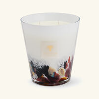 باوباب شمعة رينفورست تانجونغ ماكس 16