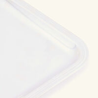 كريستوفل صينية الضيافة آلبي مستطيلة متوسطة باللون الفضي