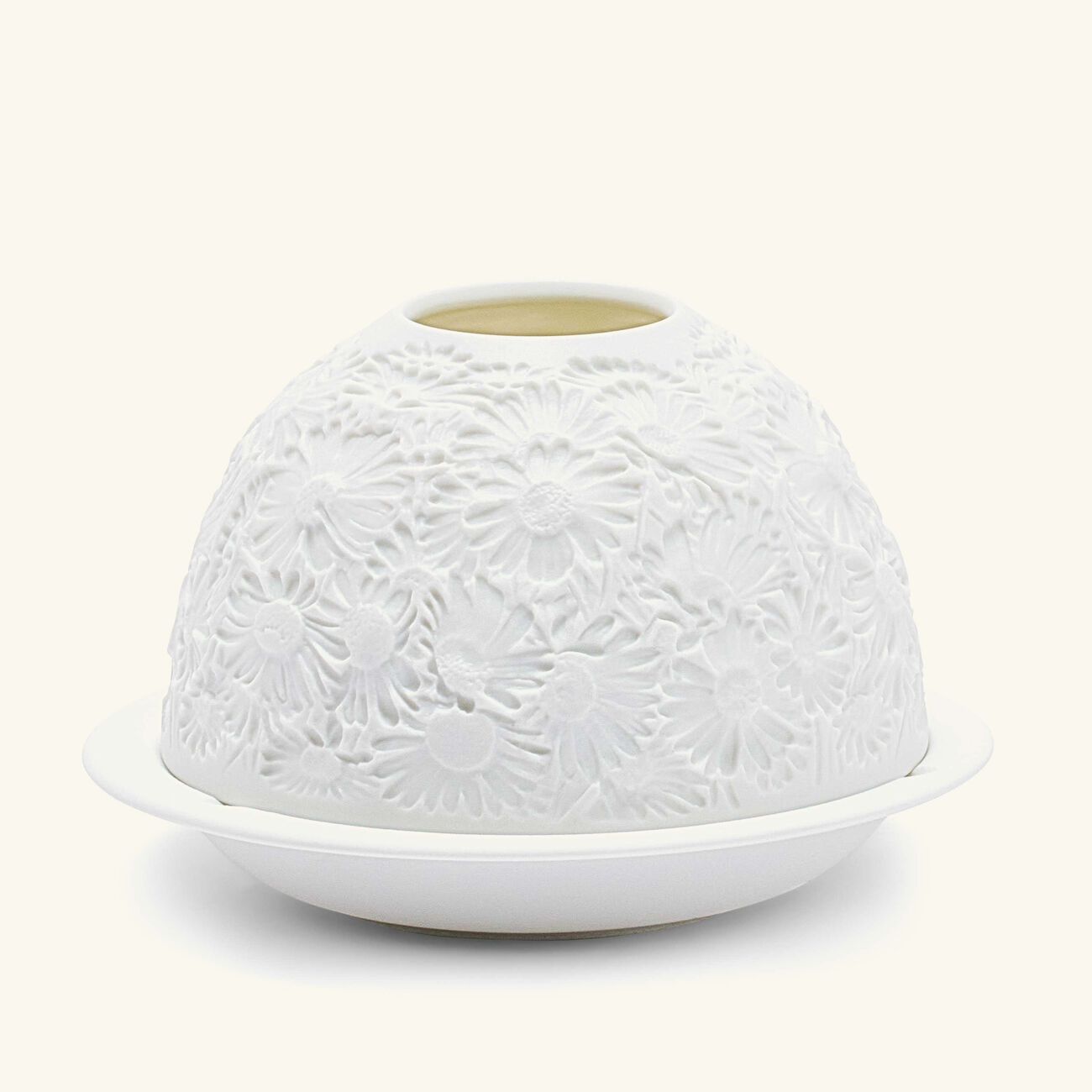 برناردو مصباح ليثوفاني ديزيز