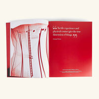 آسولين كتاب فالنتينو روسو 39   30 سم