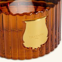 ترودون موزع العطر ألتير 350 مل