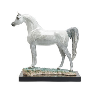 Arabian Pure Breed Horse Sculpture - Limited Edition, medium