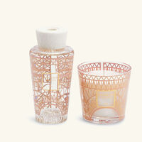 My First Baobab Paris Gift Box baobab collection my first baobab paris gift box