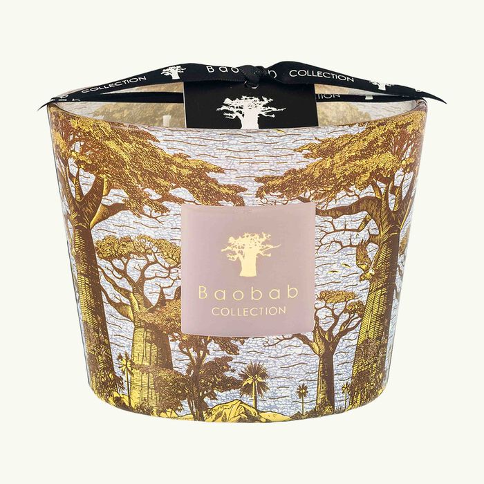 baobab collection sacred trees boukani candle max 10