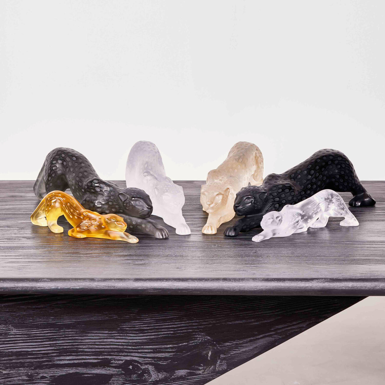 لاليك مزهرية زيلا بانتر صغيرة شفافة