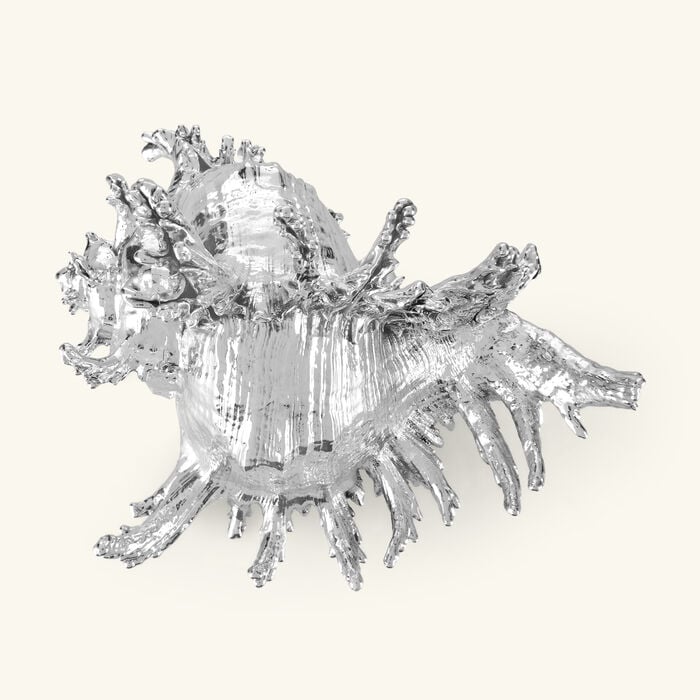 buccellati mures ramosus shell figurine small silver