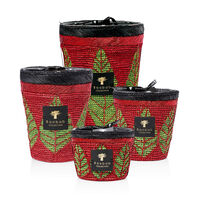 baobab collection hazo noely