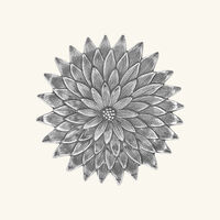 buccellati anemone flower bowl small silver