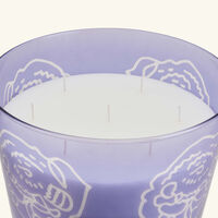 baobab collection collectible roses dark parma candle maxi max