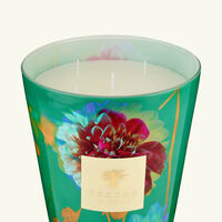 baobab collection bouquet candles max 24