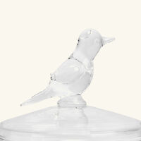 Tota Lota Pitcher Clear ira udaipur tota lota pitcher clear