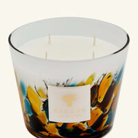 Rainforest Mayumbe Candle Max 10 baobab collection rainforest mayumbe candle max 10