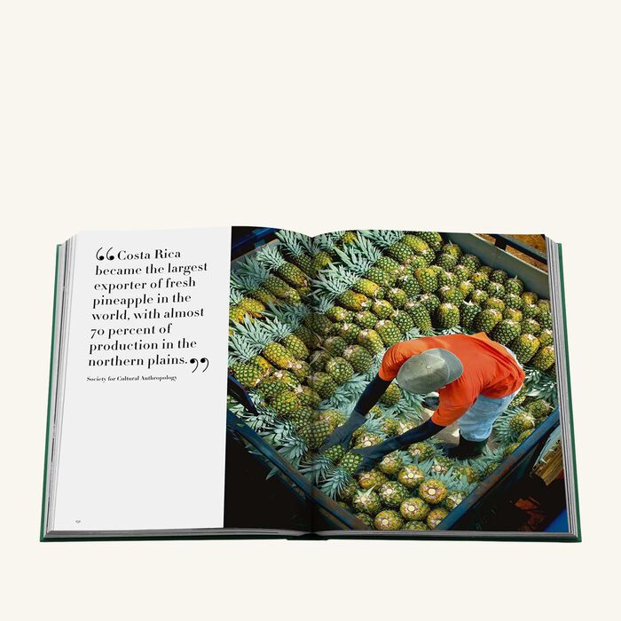 Costa Rica Vida Book 33x25cm assouline costa rica vida book 33x25cm
