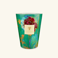 baobab collection bouquet candles max 24