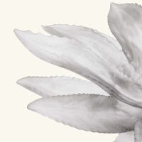 Cactus Centrepiece Grey daum cactus centrepiece grey