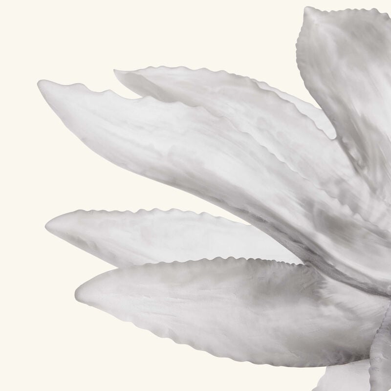 Cactus Centrepiece Grey daum cactus centrepiece grey