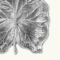 buccellati arum leaf bowl mini