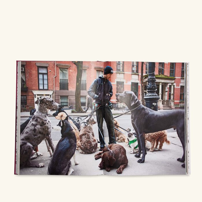 assouline chic dogs book 33x25cm