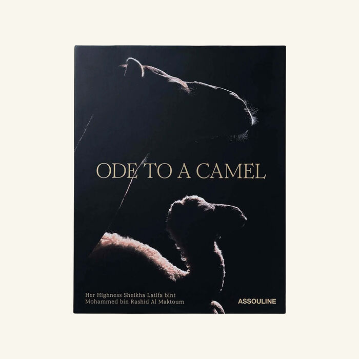 Ode To A Camel English and Arabic Book 36x28cm assouline ode to a camel english and arabic book 36x28cm