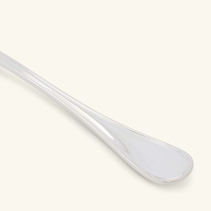 كريستوفل سكين السمك آلبي باللون الفضي