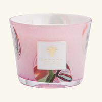 Oceania Jukurrpa Candle Max 10 baobab collection oceania jukurrpa candle max 10