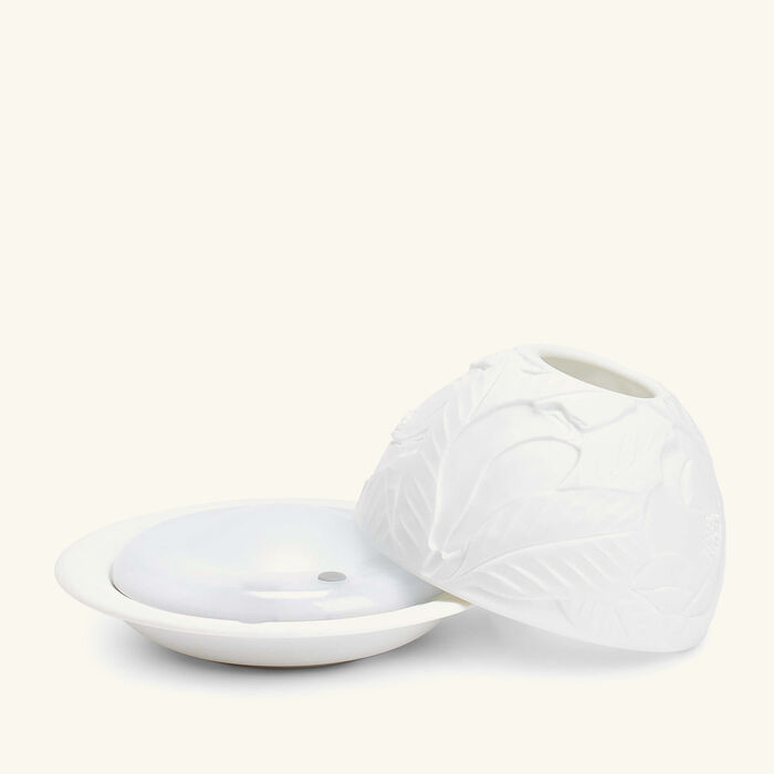 برناردو مصباح ليثوفاني بتصميم أزهار الماغنوليا