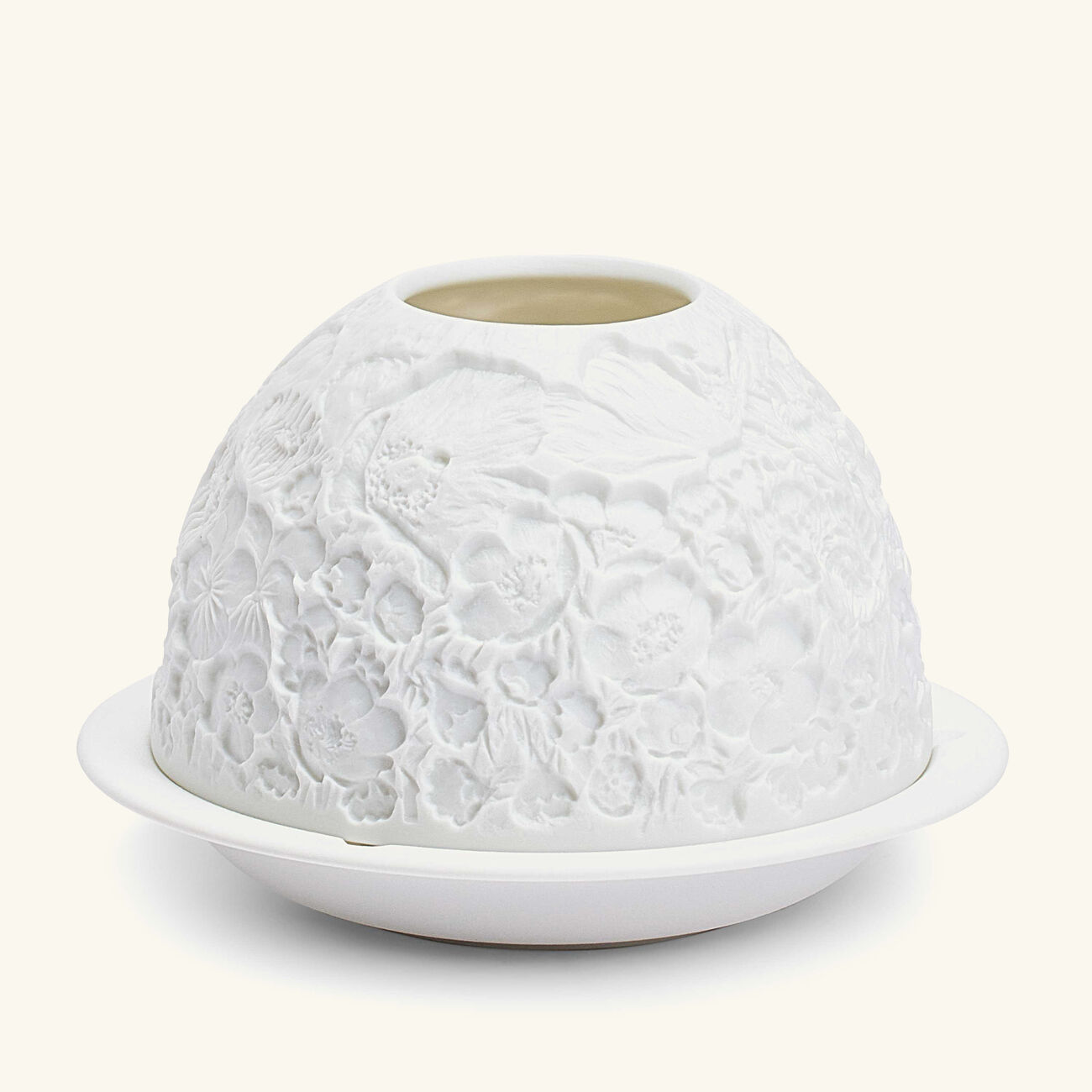 برناردو مصباح ليثوفاني وايلد فلاورز