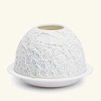 برناردو مصباح ليثوفاني وايلد فلاورز