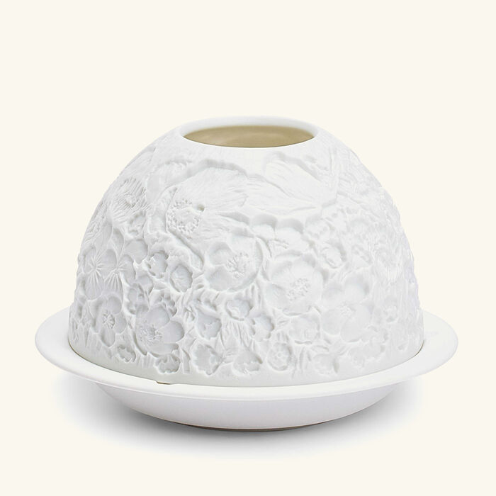 برناردو مصباح ليثوفاني وايلد فلاورز