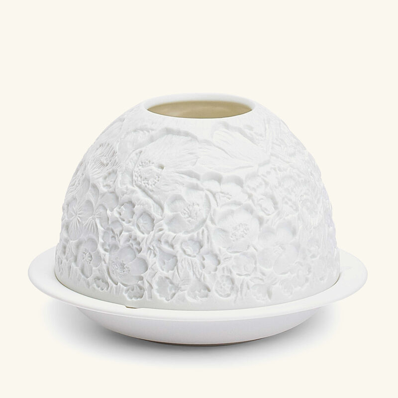 برناردو مصباح ليثوفاني وايلد فلاورز