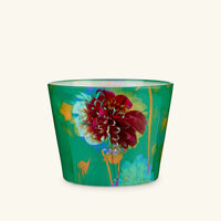 baobab collection bouquet candles max 10