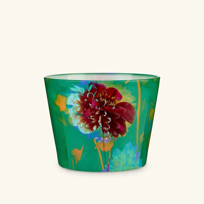 baobab collection bouquet candles max 10