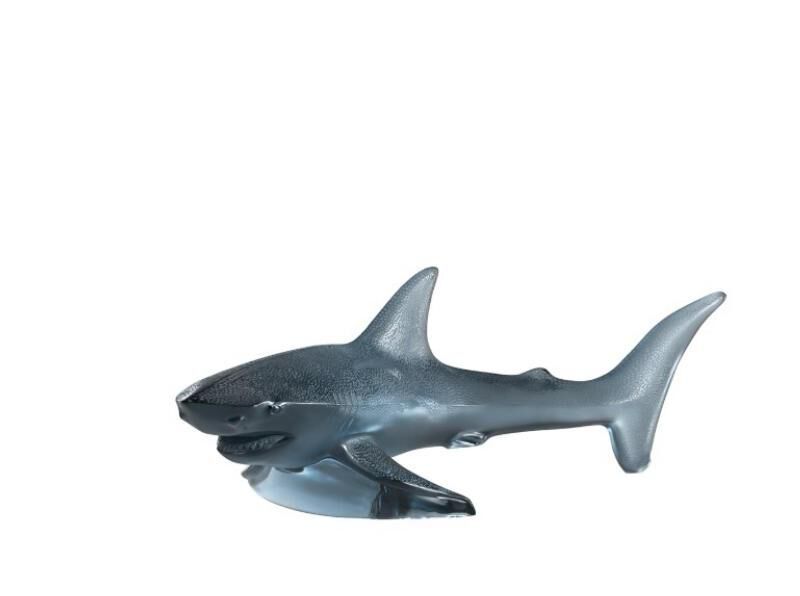 سمك القرش, large