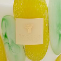 باوباب شمعة ريفييرا سانتو سوسبير ماكس 16