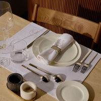 catherine denoual camel napkin white