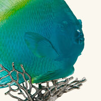 Maya Royal Angelfish Figurine Medium Blue Limited Edition daum maya royal angelfish figurine medium blue limited edition