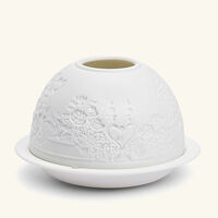 برناردو مصباح ليثوفاني آمور