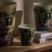 baobab collection sacred trees touba candle max 16