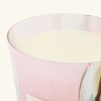 شمعة أوشيانيا جوكوربا ماكس 24 باوباب شمعة أوشيانيا جوكوربا ماكس 24