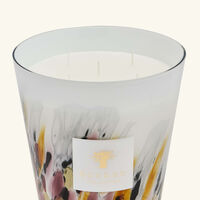 baobab collection rainforest tanjung candle max 24