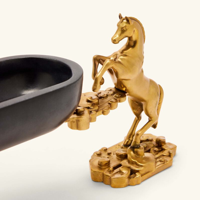 إيرا أودايبور صينية التمور أشوا ريجال