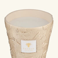 baobab collection paloma candles max 16