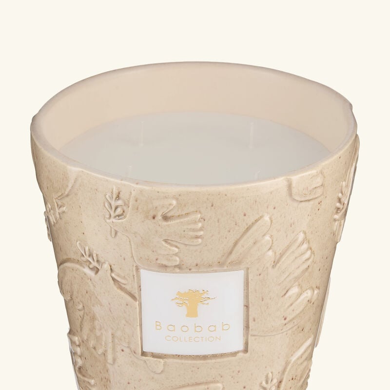 baobab collection paloma candles max 16