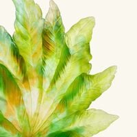 Borneo Centerpiece Green Limited Edition daum borneo centerpiece green limited edition