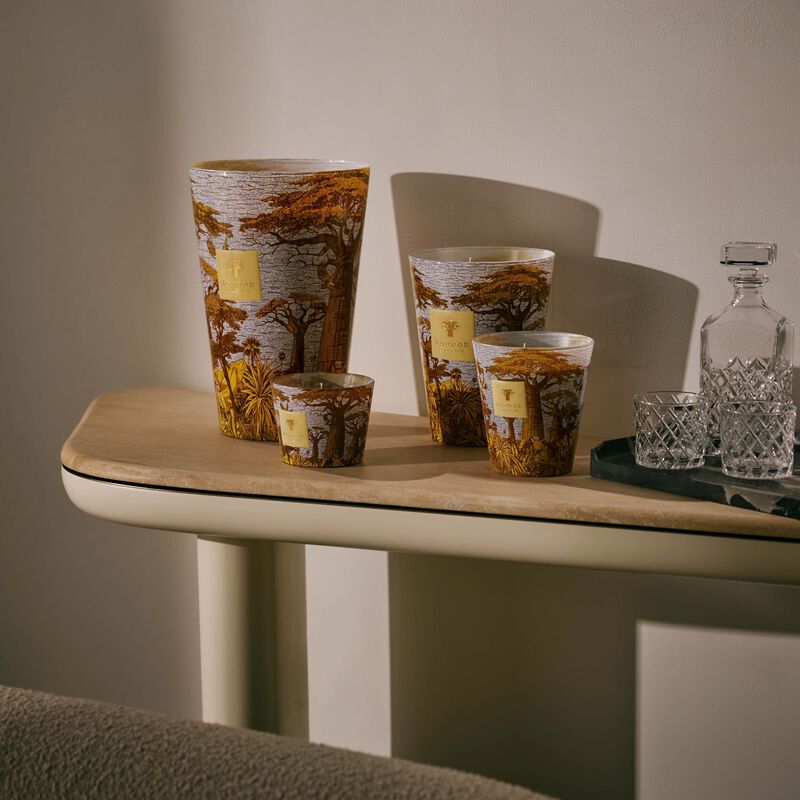 baobab collection sacred trees cocody candle max 10