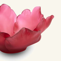 daum tulip centerpiece red