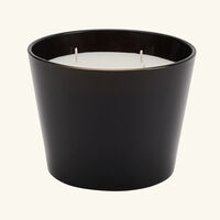 baobab collection encre de chine candle max 10
