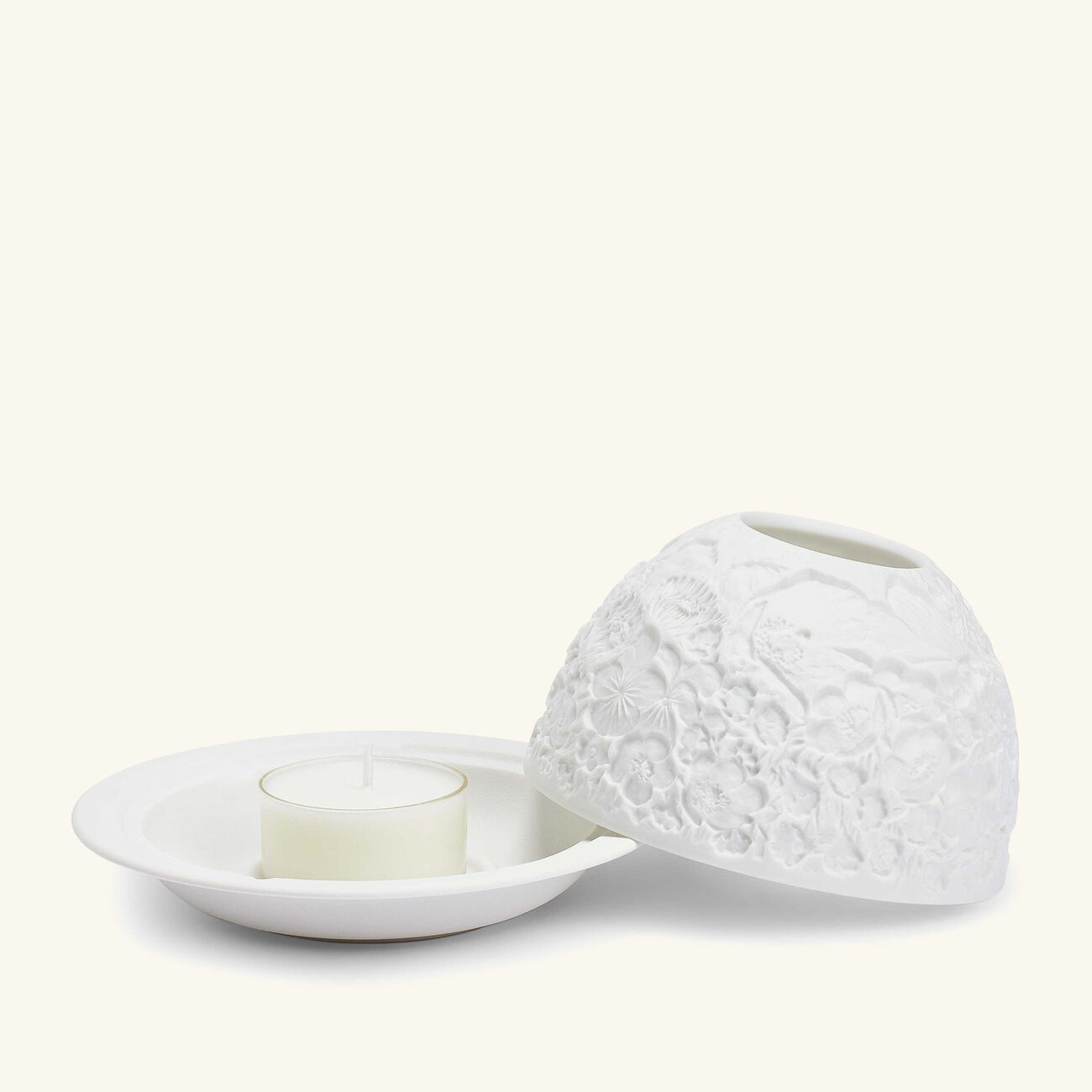 برناردو مصباح ليثوفاني وايلد فلاورز