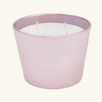 baobab collection roseum candle max 10