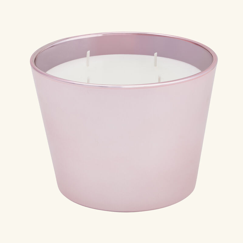baobab collection roseum candle max 10
